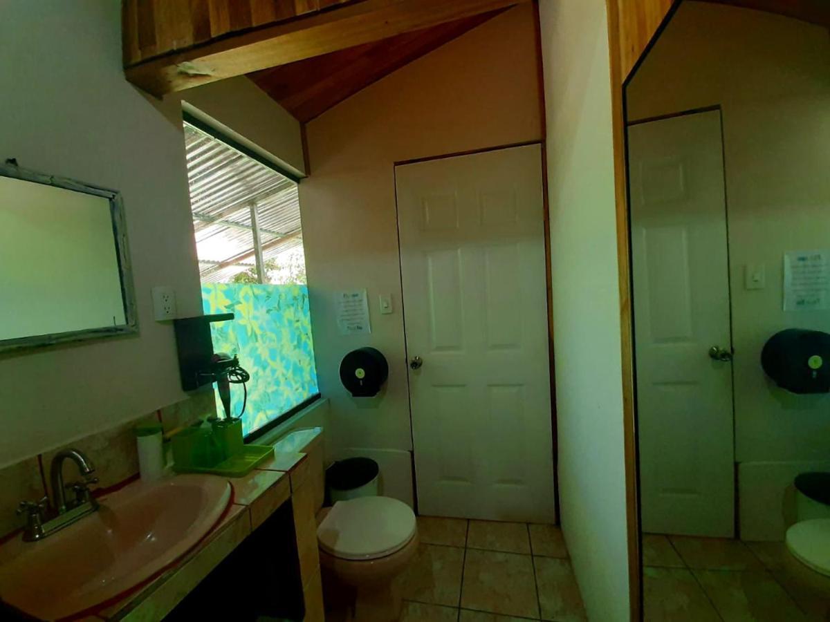 Monteverde Cecropia Paradise المظهر الخارجي الصورة