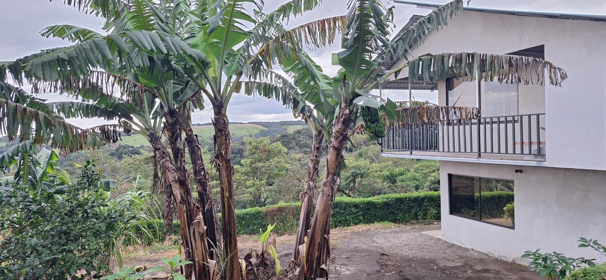 Monteverde Cecropia Paradise الغرفة الصورة