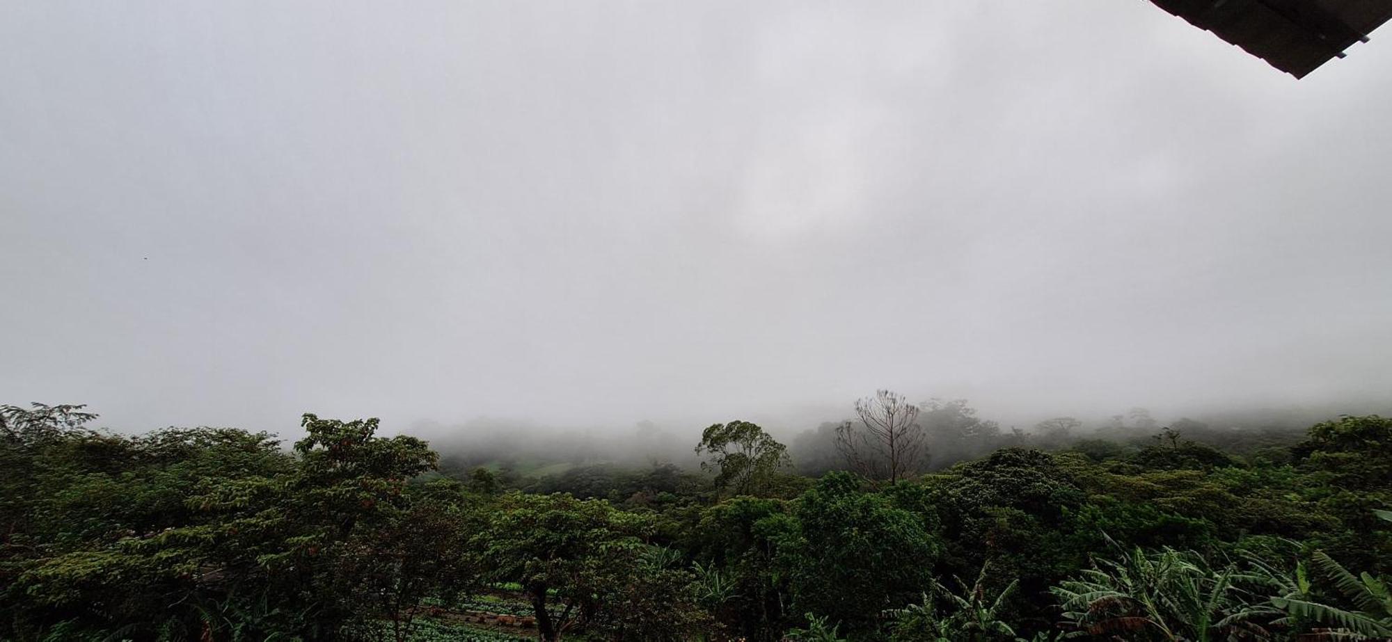 Monteverde Cecropia Paradise الغرفة الصورة