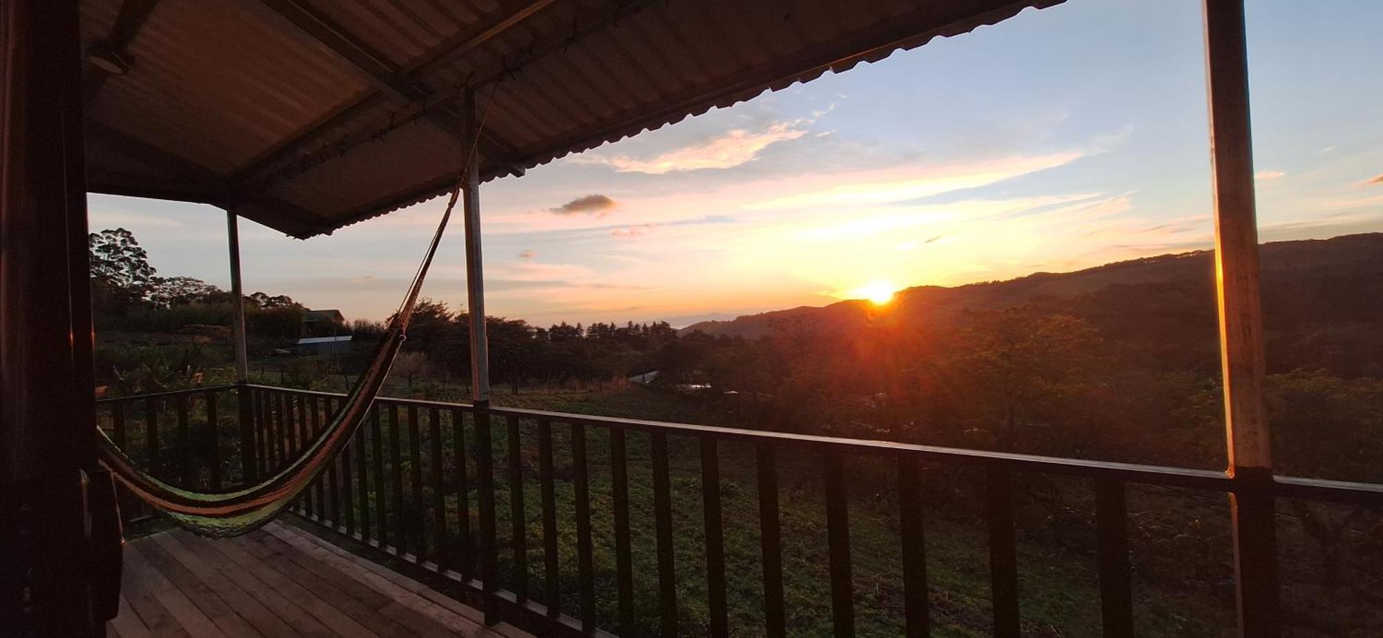 Monteverde Cecropia Paradise المظهر الخارجي الصورة