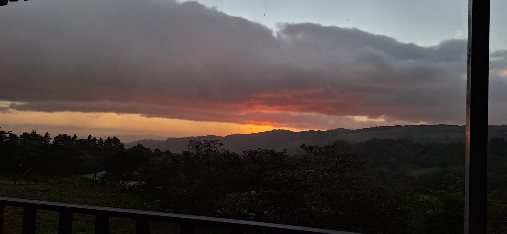 Monteverde Cecropia Paradise الغرفة الصورة