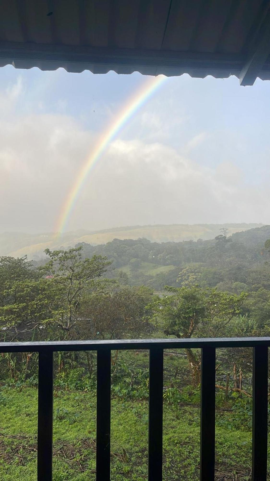 Monteverde Cecropia Paradise الغرفة الصورة