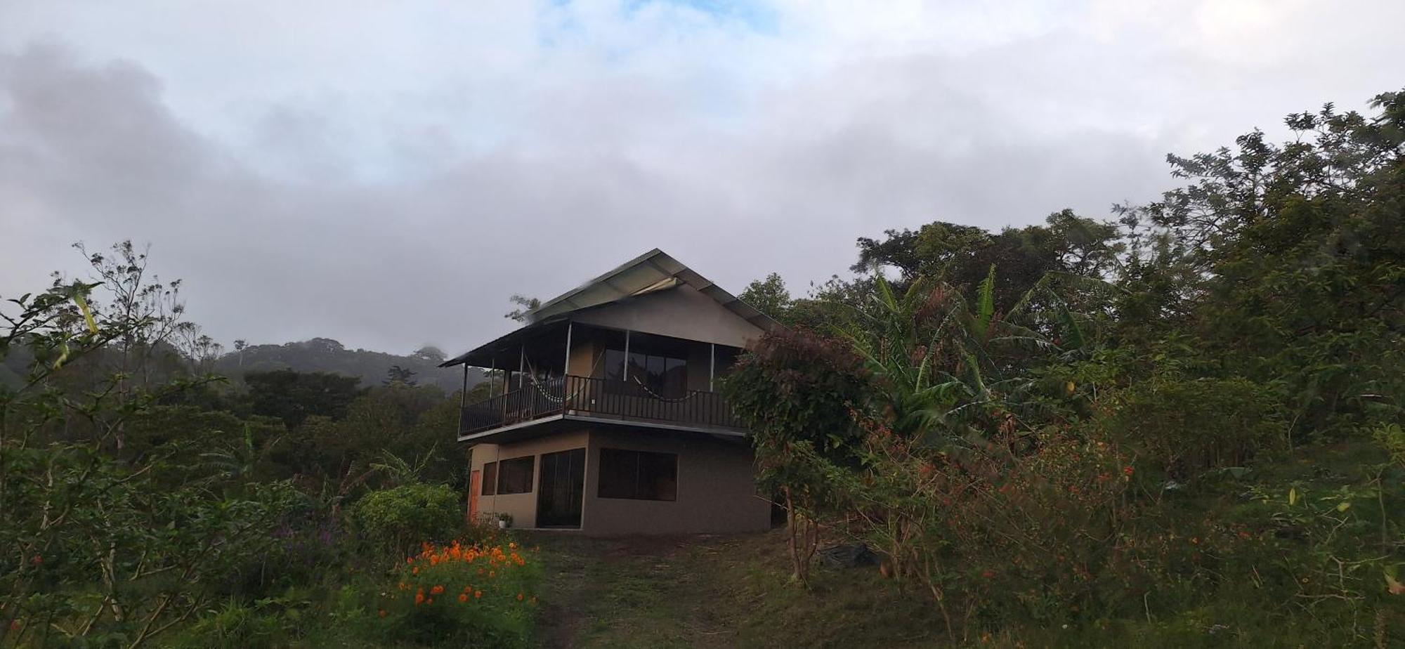 Monteverde Cecropia Paradise المظهر الخارجي الصورة