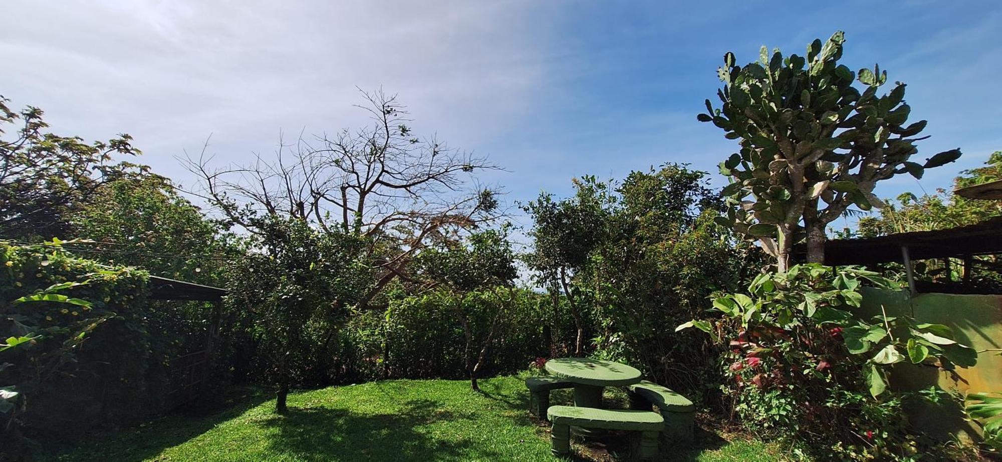 Monteverde Cecropia Paradise الغرفة الصورة