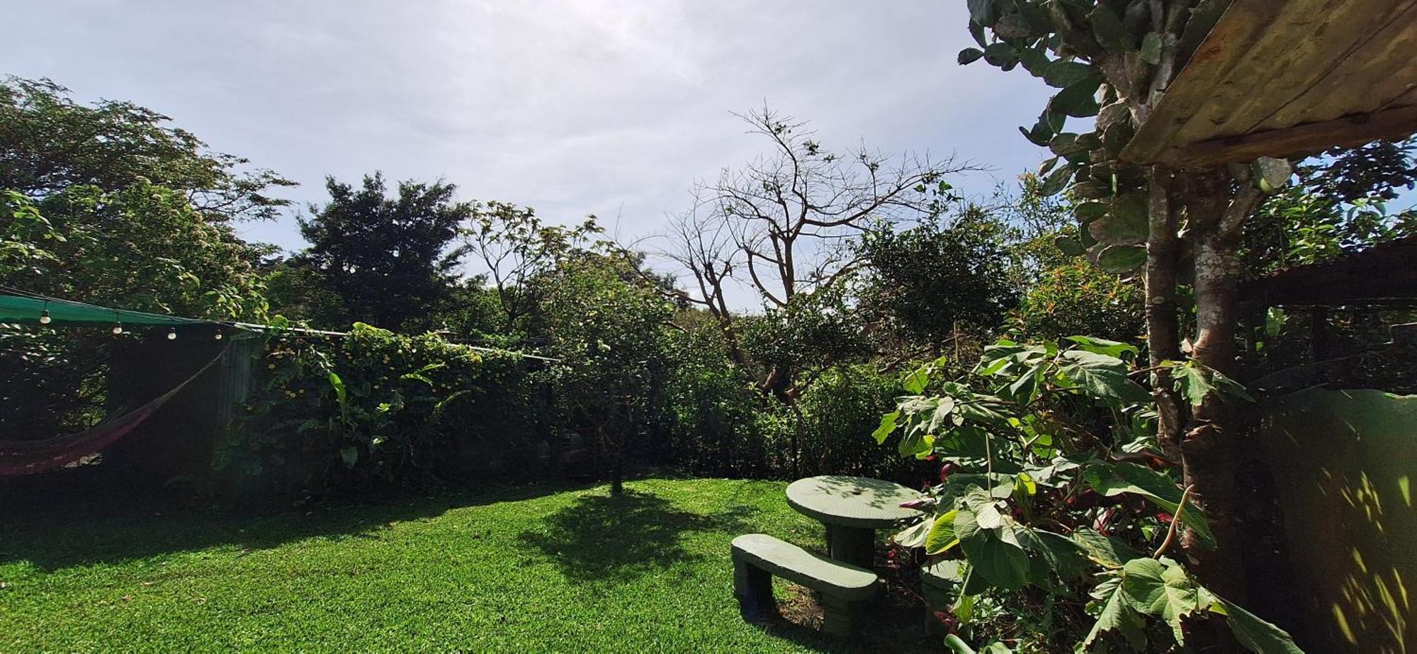Monteverde Cecropia Paradise الغرفة الصورة